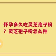 怀孕多久吃灵芝孢子粉？灵芝孢子粉怎么种