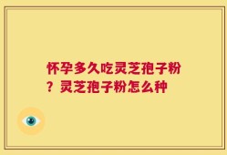怀孕多久吃灵芝孢子粉？灵芝孢子粉怎么种