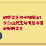 破壁灵芝孢子粉降压？长白山灵芝为何是中国最好的灵芝