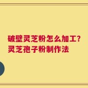 破壁灵芝粉怎么加工？灵芝孢子粉制作法
