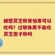 破壁灵芝粉胃怕寒可以吃吗？过敏体质不能吃灵芝孢子粉吗