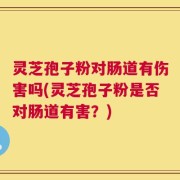 灵芝孢子粉对肠道有伤害吗(灵芝孢子粉是否对肠道有害？)