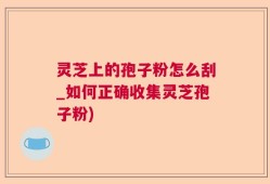灵芝上的孢子粉怎么刮_如何正确收集灵芝孢子粉)