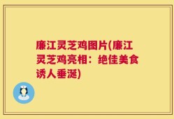 廉江灵芝鸡图片(廉江灵芝鸡亮相：绝佳美食诱人垂涎)
