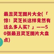 最丑灵芝图片大全(「惊！灵芝长这样竟然有这么多人买？」——50张最丑灵芝图片大盘点)