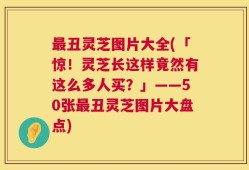 最丑灵芝图片大全(「惊！灵芝长这样竟然有这么多人买？」——50张最丑灵芝图片大盘点)