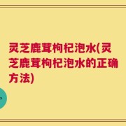 灵芝鹿茸枸杞泡水(灵芝鹿茸枸杞泡水的正确方法)