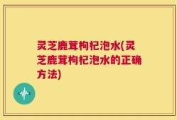 灵芝鹿茸枸杞泡水(灵芝鹿茸枸杞泡水的正确方法)