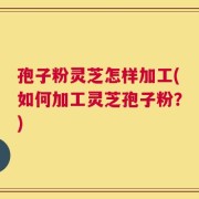 孢子粉灵芝怎样加工(如何加工灵芝孢子粉？)