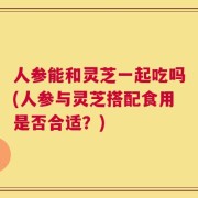 人参能和灵芝一起吃吗(人参与灵芝搭配食用是否合适？)