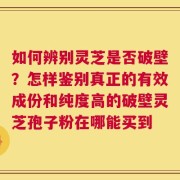 如何辨别灵芝是否破壁？怎样鉴别真正的有效成份和纯度高的破壁灵芝孢子粉在哪能买到