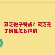 灵芝孢子特点？灵芝孢子粉是怎么样的