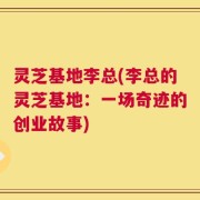 灵芝基地李总(李总的灵芝基地：一场奇迹的创业故事)