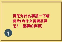 灵芝为什么要蒸一下呢图片(为什么需要蒸灵芝？  重要的步骤)