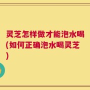 灵芝怎样做才能泡水喝(如何正确泡水喝灵芝)