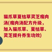 猫爪草夏枯草灵芝瘦肉汤(瘦肉汤配方升级，加入猫爪草、夏枯草、灵芝提升养生功效)