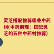 灵芝搭配推荐哪些中药材(中药调理：搭配灵芝的五种中药材推荐)