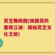灵芝舞陕西(陕西灵药重现江湖：探秘灵芝文化之旅)