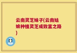 云南灵芝妹子(云南姑娘种植灵芝成致富之路)