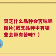 灵芝什么品种会苦味呢图片(灵芝品种中有哪些会带有苦味？)