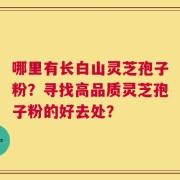 哪里有长白山灵芝孢子粉？寻找高品质灵芝孢子粉的好去处？