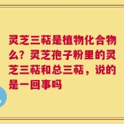 灵芝三萜是植物化合物么？灵芝孢子粉里的灵芝三萜和总三萜，说的是一回事吗