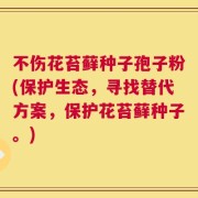 不伤花苔藓种子孢子粉(保护生态，寻找替代方案，保护花苔藓种子。)