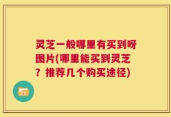 灵芝一般哪里有买到呀图片(哪里能买到灵芝？推荐几个购买途径)