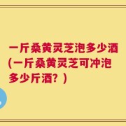 一斤桑黄灵芝泡多少酒(一斤桑黄灵芝可冲泡多少斤酒？)
