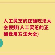 人工灵芝的正确吃法大全视频(人工灵芝的正确食用方法大全)