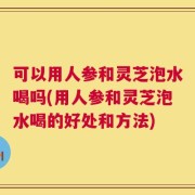 可以用人参和灵芝泡水喝吗(用人参和灵芝泡水喝的好处和方法)