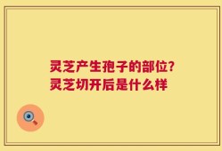 灵芝产生孢子的部位？灵芝切开后是什么样