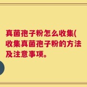 真菌孢子粉怎么收集(收集真菌孢子粉的方法及注意事项。