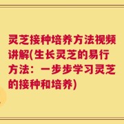 灵芝接种培养方法视频讲解(生长灵芝的易行方法：一步步学习灵芝的接种和培养)
