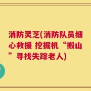 消防灵芝(消防队员细心救援 挖掘机“搬山”寻找失踪老人)