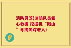消防灵芝(消防队员细心救援 挖掘机“搬山”寻找失踪老人)