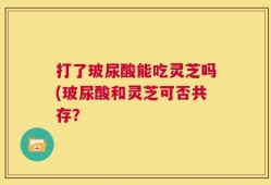打了玻尿酸能吃灵芝吗(玻尿酸和灵芝可否共存？
