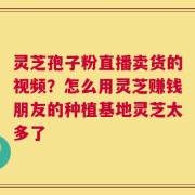 灵芝孢子粉直播卖货的视频？怎么用灵芝赚钱朋友的种植基地灵芝太多了