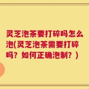 灵芝泡茶要打碎吗怎么泡(灵芝泡茶需要打碎吗？如何正确泡制？)