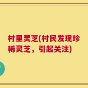 村里灵芝(村民发现珍稀灵芝，引起关注)
