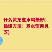 什么灵芝煮水喝最好(最佳方法：煮水饮用灵芝)