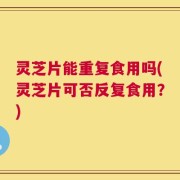 灵芝片能重复食用吗(灵芝片可否反复食用？)