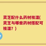 灵芝配什么药材祛湿(灵芝与哪些药材搭配可祛湿？)