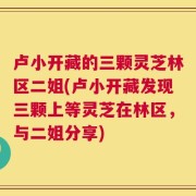 卢小开藏的三颗灵芝林区二姐(卢小开藏发现三颗上等灵芝在林区，与二姐分享)