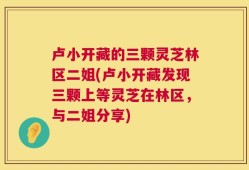 卢小开藏的三颗灵芝林区二姐(卢小开藏发现三颗上等灵芝在林区，与二姐分享)