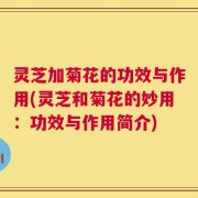 灵芝加菊花的功效与作用(灵芝和菊花的妙用：功效与作用简介)