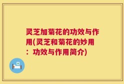 灵芝加菊花的功效与作用(灵芝和菊花的妙用：功效与作用简介)