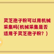 灵芝孢子粉可以用机械采集吗(机械采集是否适用于灵芝孢子粉？)