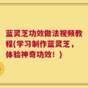 蓝灵芝功效做法视频教程(学习制作蓝灵芝，体验神奇功效！)