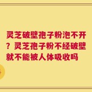灵芝破壁孢子粉泡不开？灵芝孢子粉不经破壁就不能被人体吸收吗